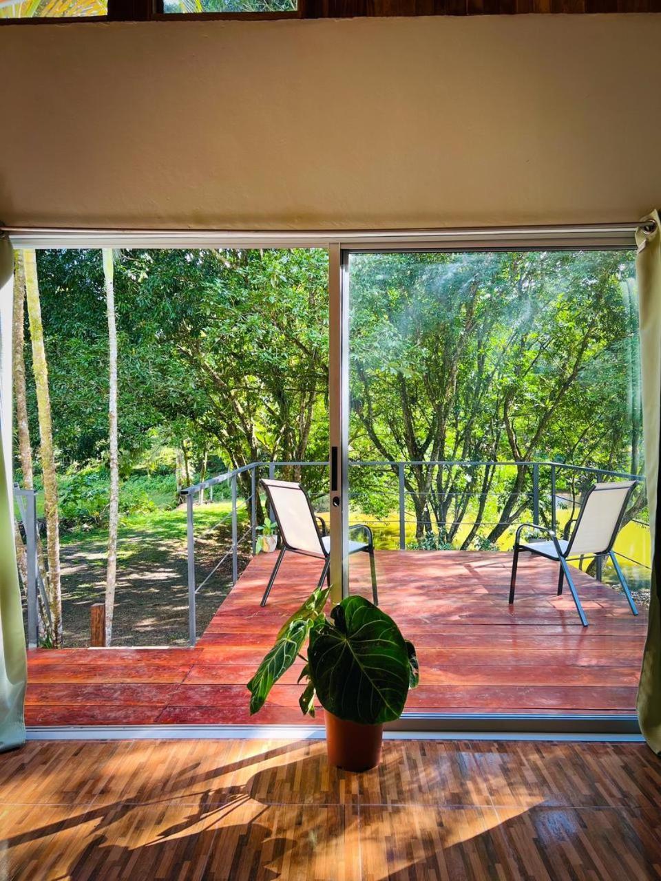 Ficus House Apartment Boca Tapada Ngoại thất bức ảnh