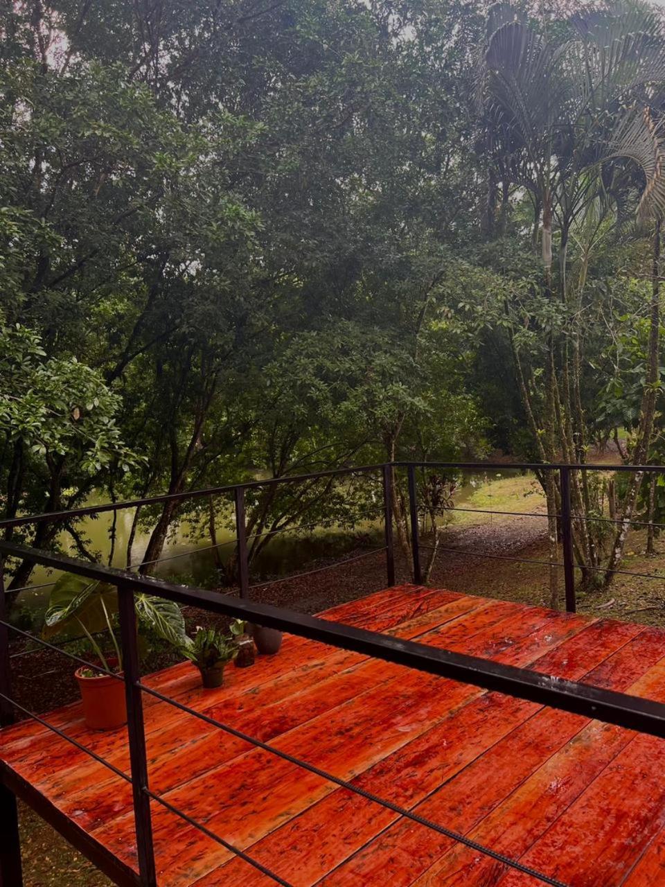 Ficus House Apartment Boca Tapada Ngoại thất bức ảnh