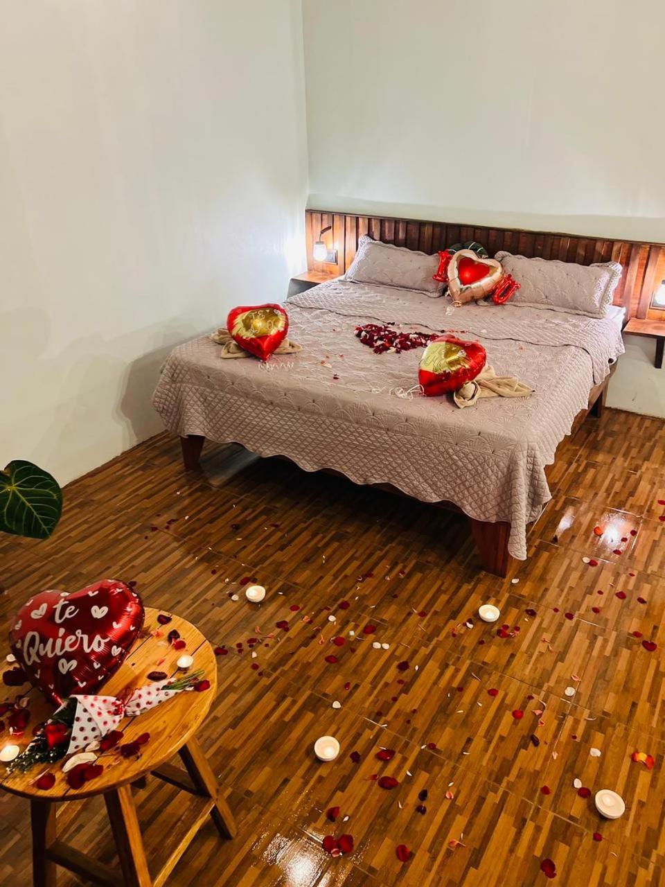 Ficus House Apartment Boca Tapada Ngoại thất bức ảnh